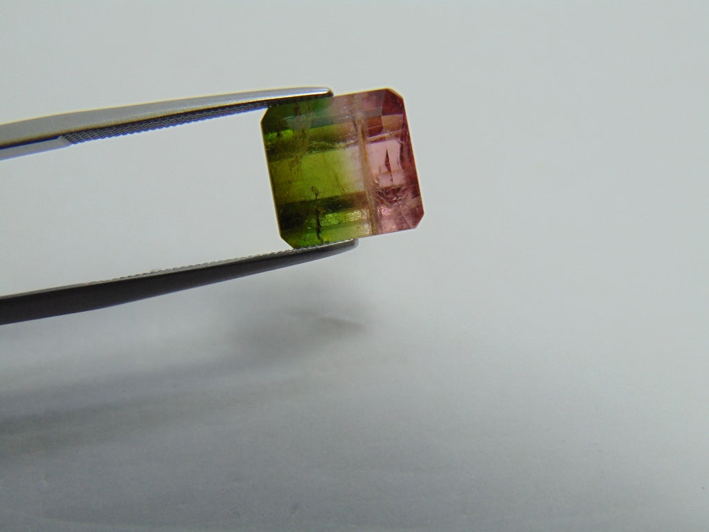 5,60ct Turmalina Bicolor 10mm