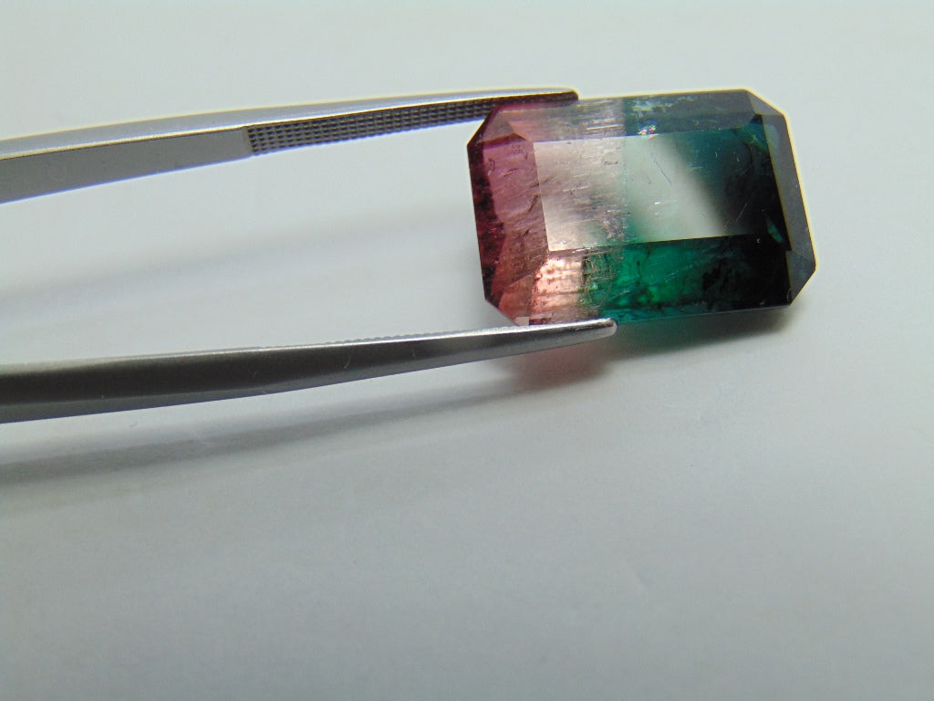 18,05ct Turmalina Bicolor 18x13mm