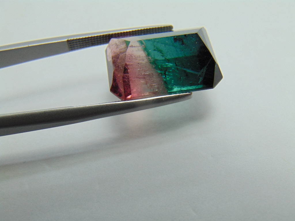 18,05ct Turmalina Bicolor 18x13mm