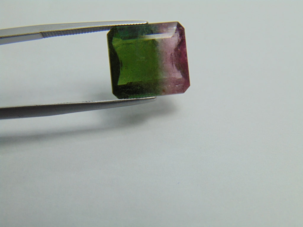 Turmalina Bicolor 9,25ct 13x12mm