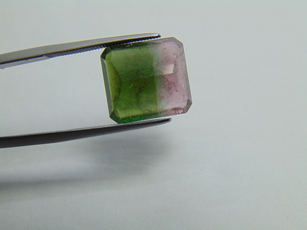 Turmalina Bicolor 9,25ct 13x12mm