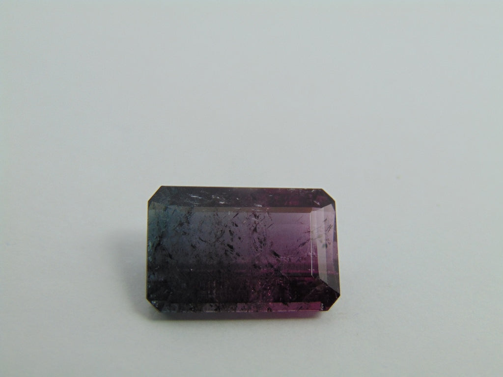 15.40cts Tourmaline (Bicolor)