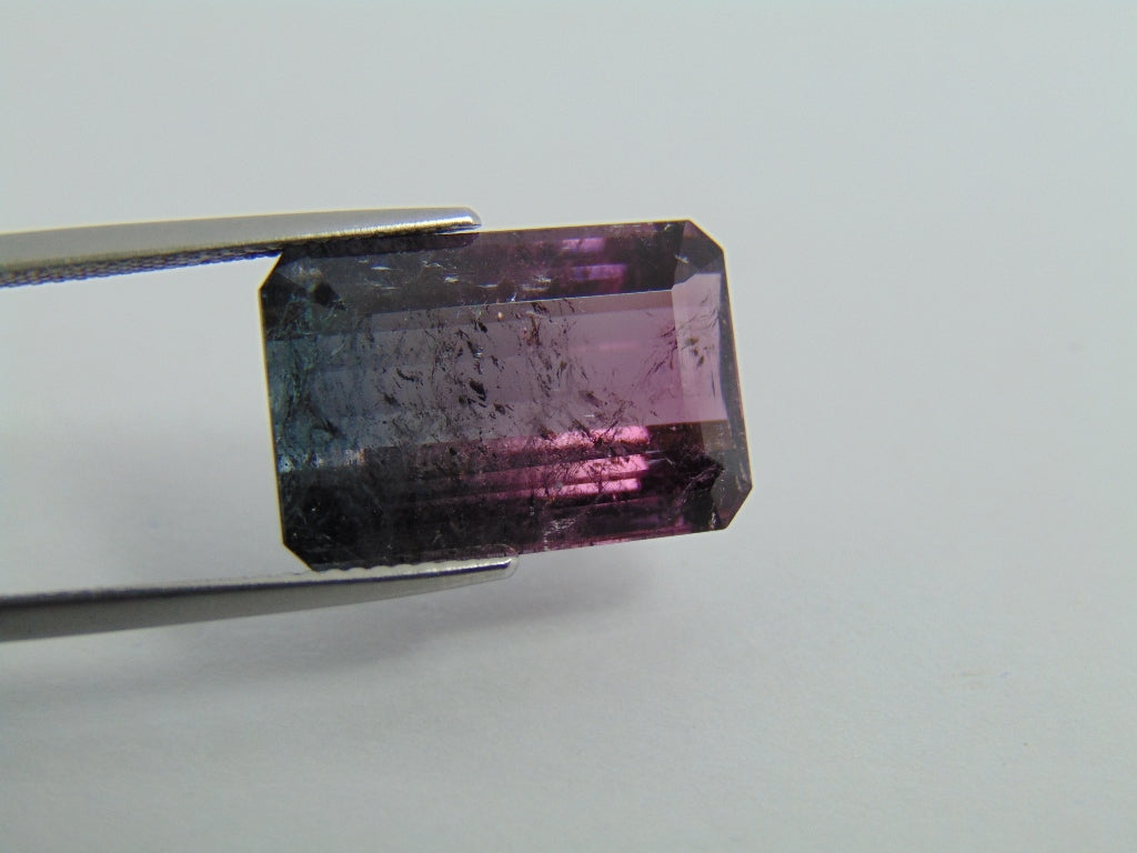 15.40cts Tourmaline (Bicolor)