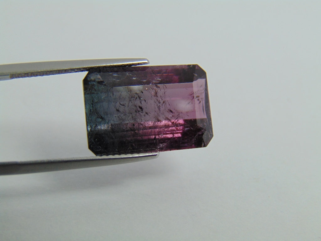 15.40cts Tourmaline (Bicolor)