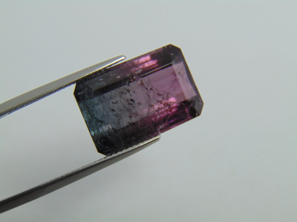 15.40cts Tourmaline (Bicolor)