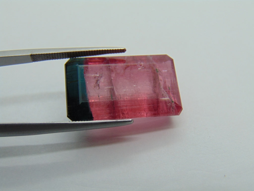 22.75cts Tourmaline (Bicolor)