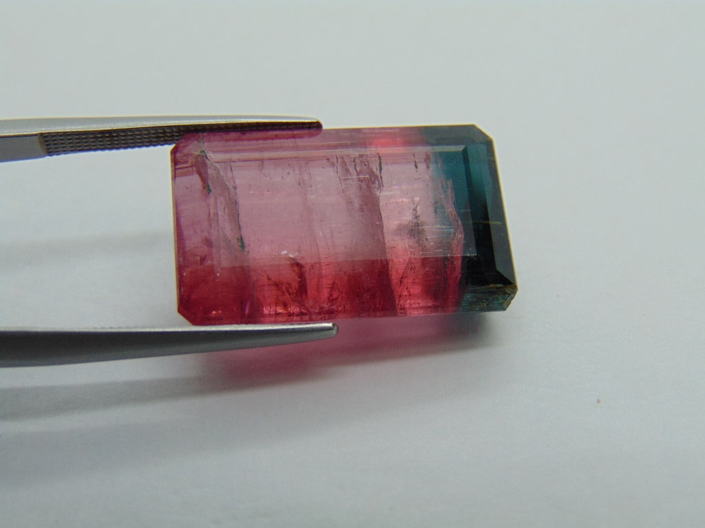 22.75ct Turmalina Bicolor 21x13mm