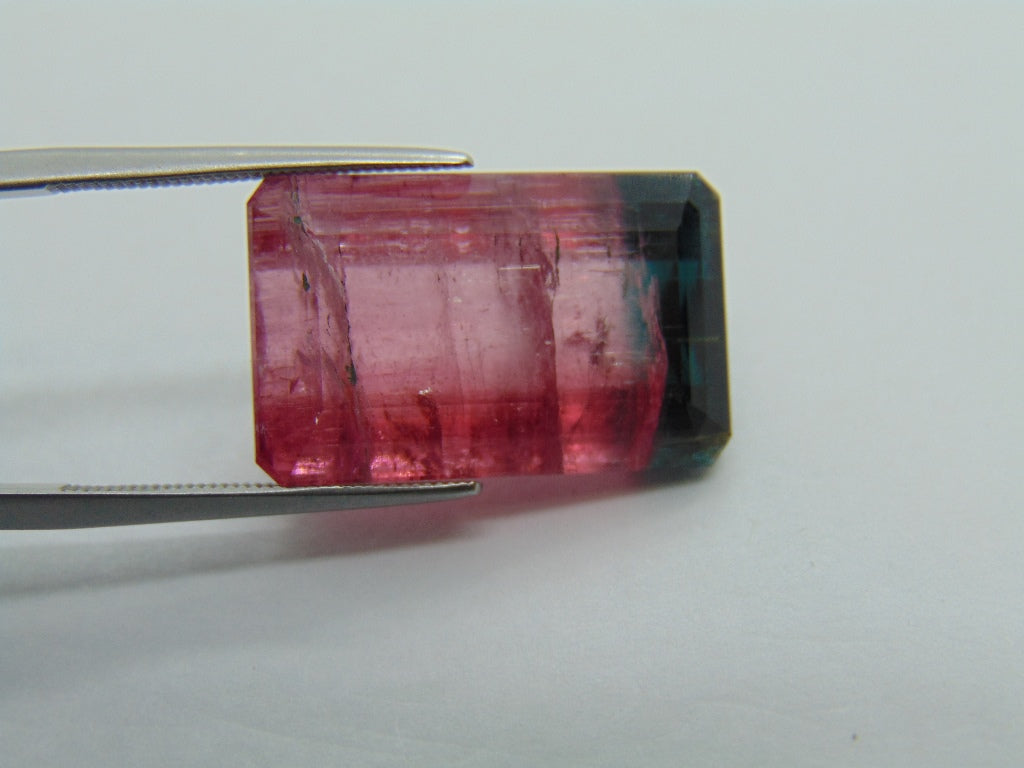 22.75cts Tourmaline (Bicolor)