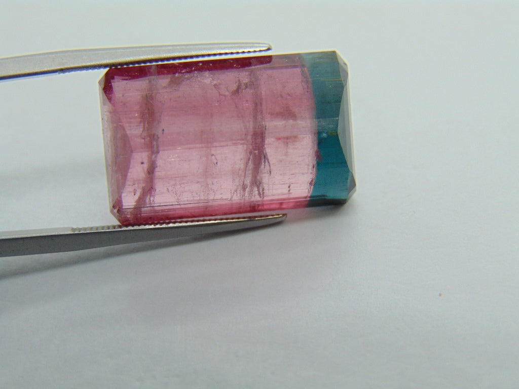 22.75cts Tourmaline (Bicolor)