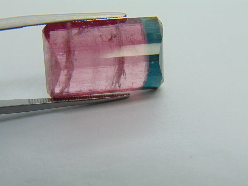 22.75ct Turmalina Bicolor 21x13mm