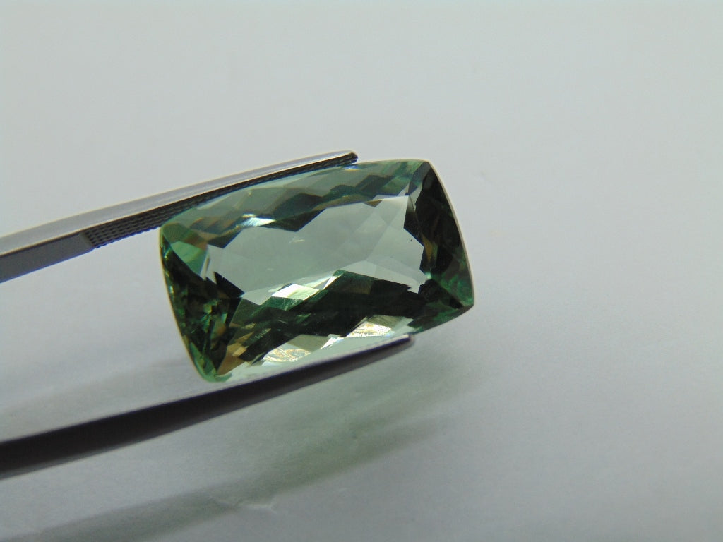 15.05ct Prasiolite 19x12mm