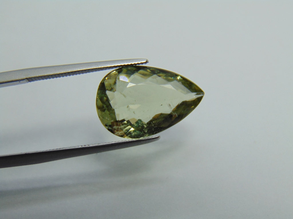 5,50ct Berilo Verde 16x11mm