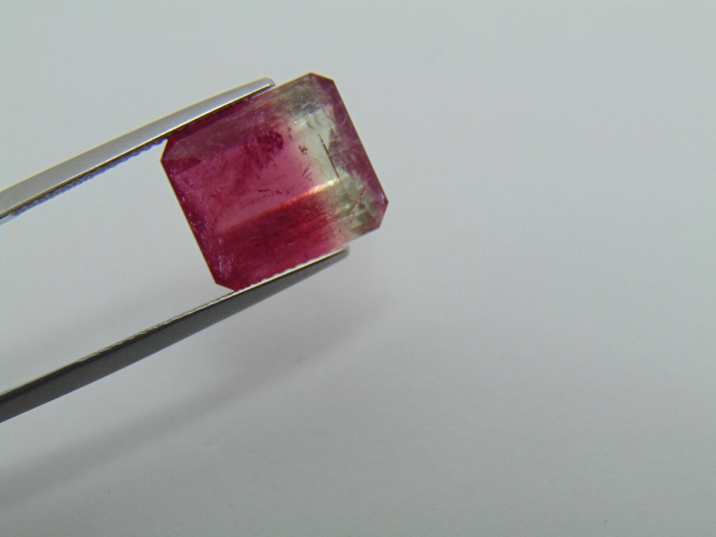 9.70cts Tourmaline (Bicolor)