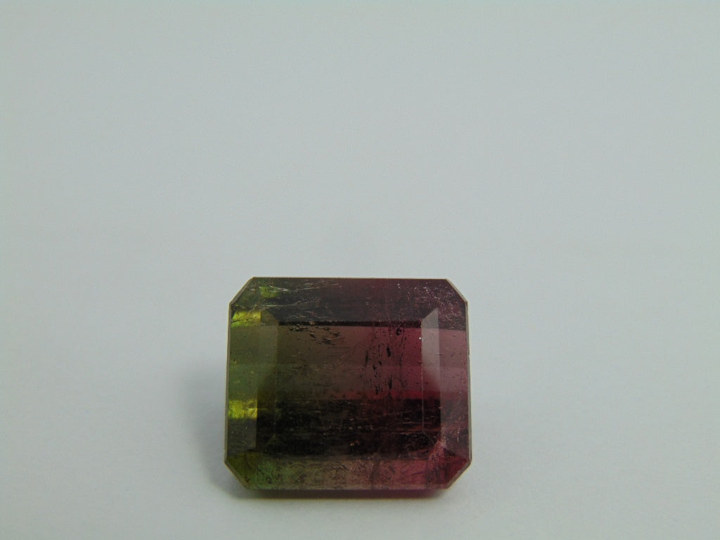 23.90ct Turmalina Bicolor 17x15mm