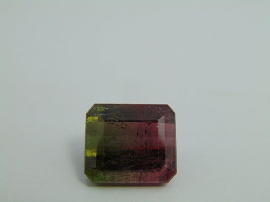 23,90cts Turmalina (Bicolor)