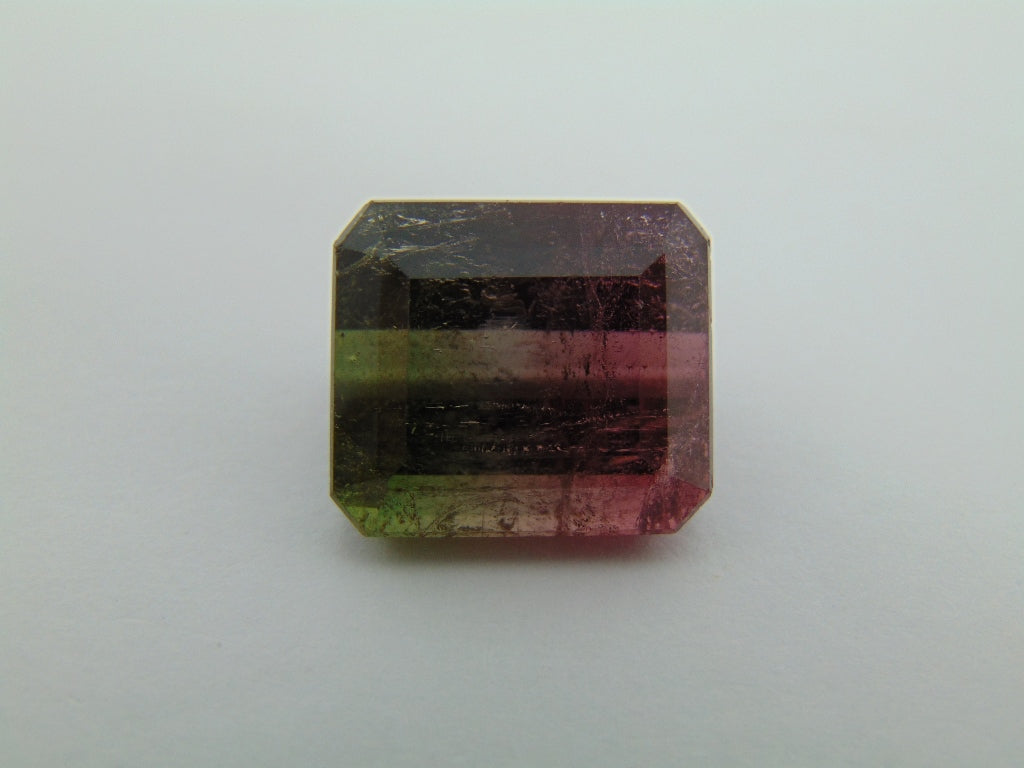 23.90ct Turmalina Bicolor 17x15mm