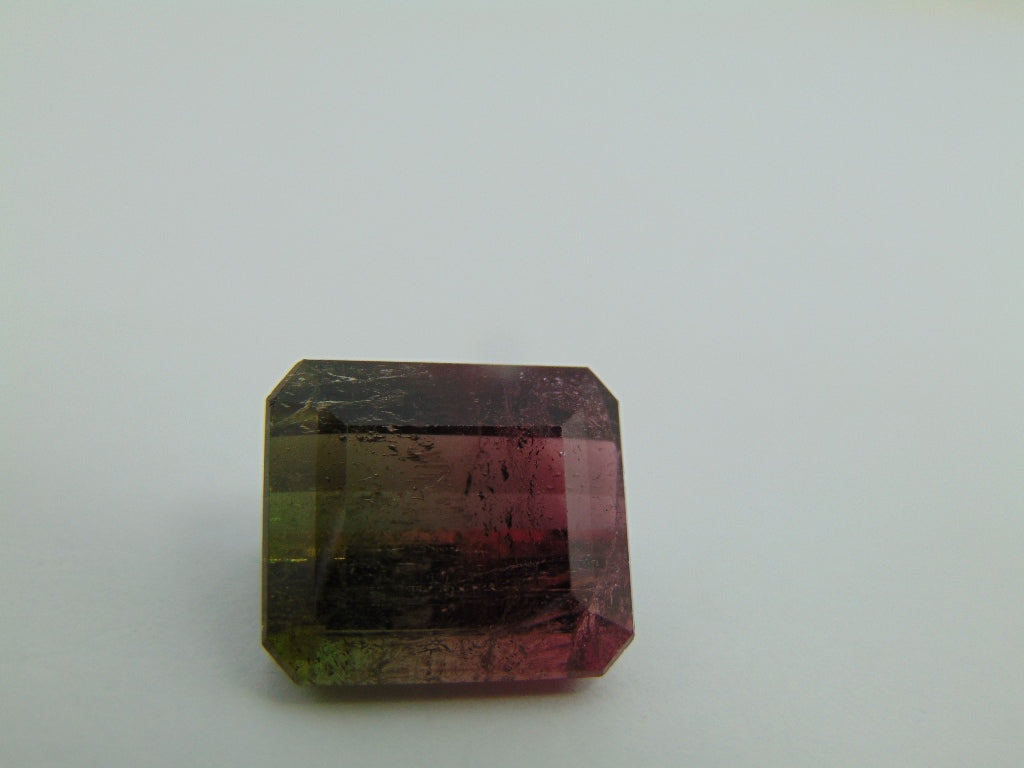 23.90ct Turmalina Bicolor 17x15mm