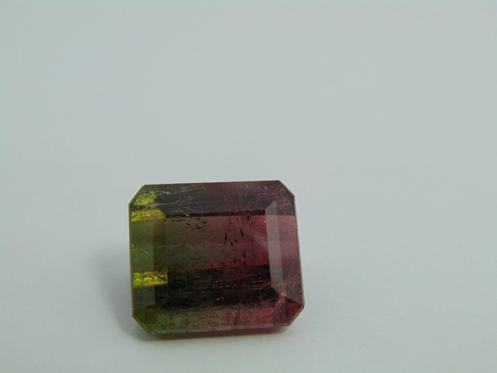 23.90ct Turmalina Bicolor 17x15mm