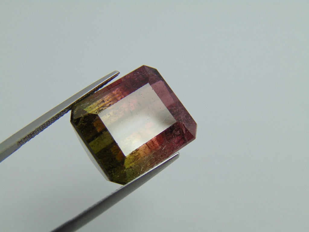 23.90ct Turmalina Bicolor 17x15mm