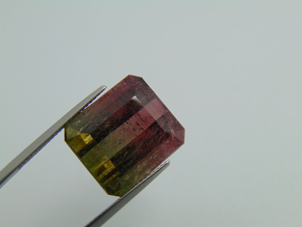 23.90ct Turmalina Bicolor 17x15mm