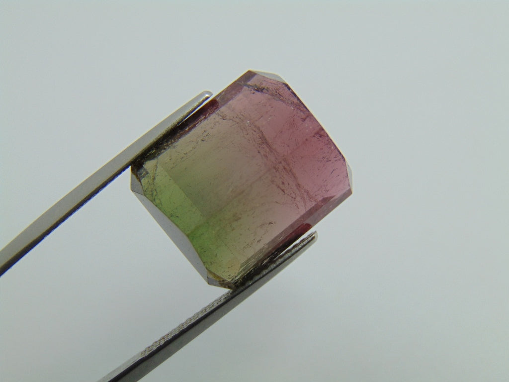 23.90ct Turmalina Bicolor 17x15mm