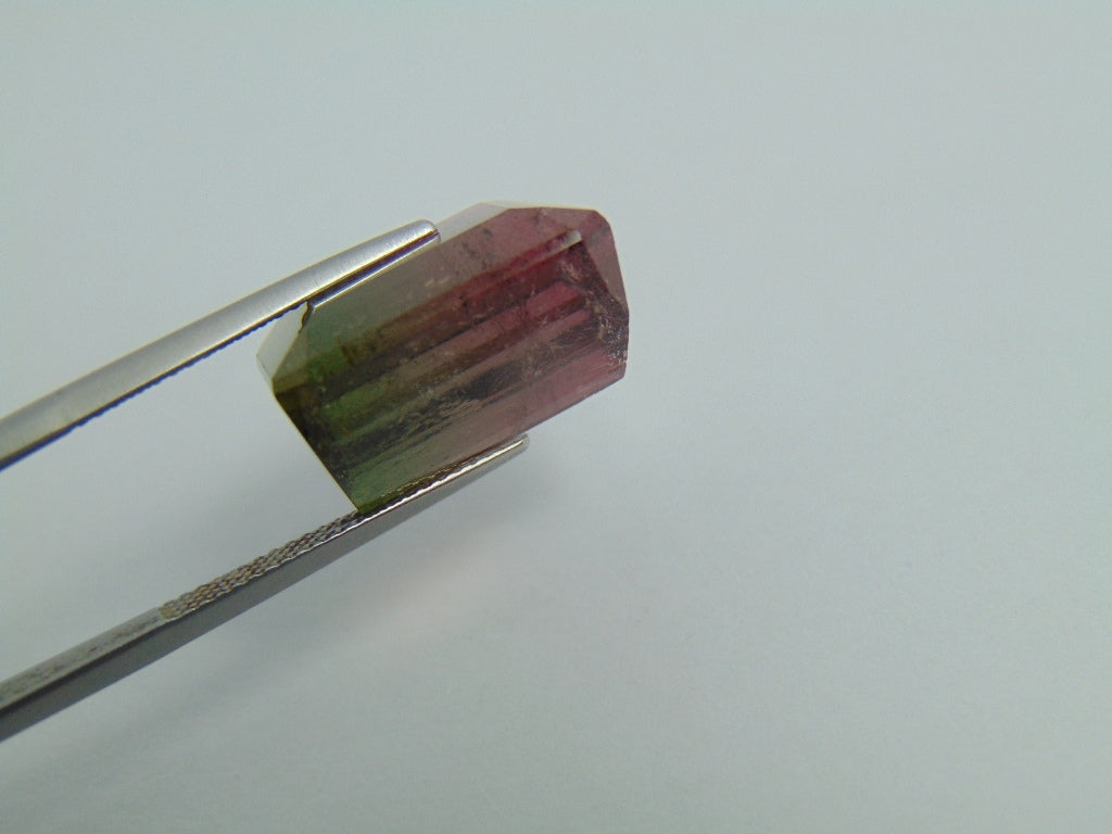 23.90ct Turmalina Bicolor 17x15mm