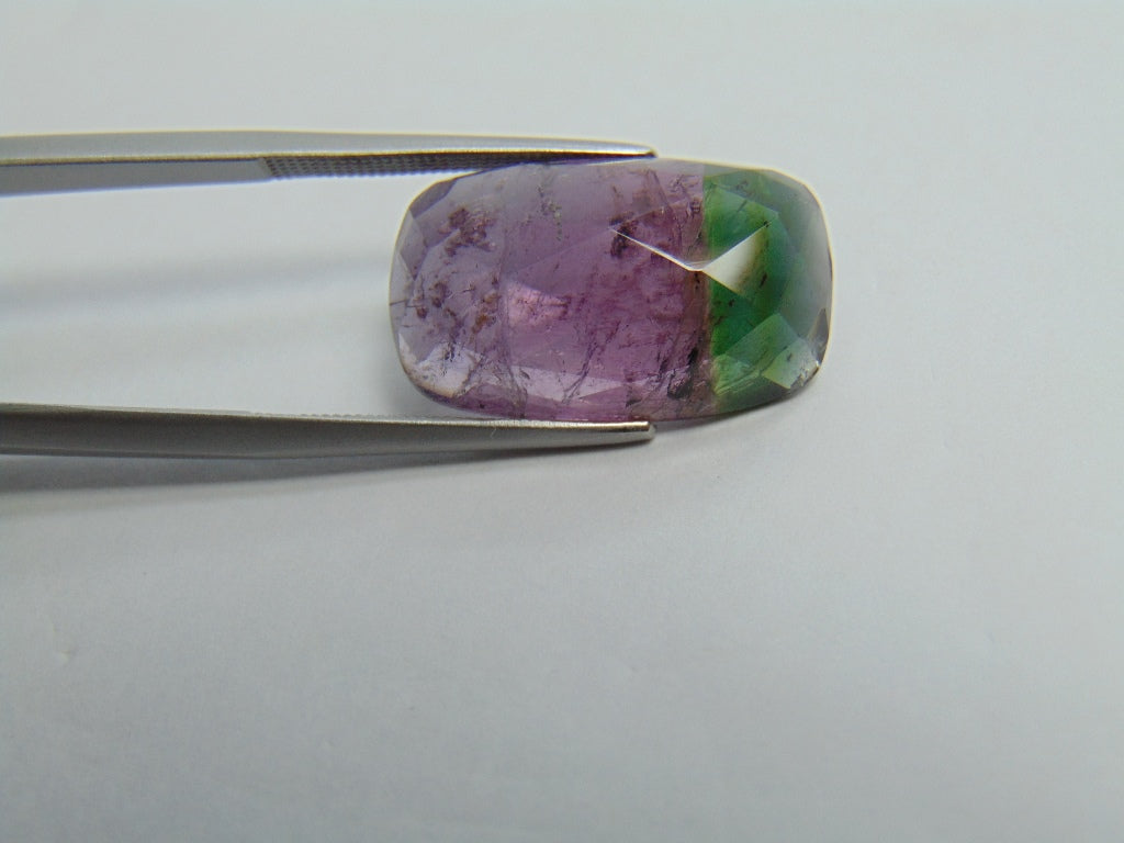 Turmalina Bicolor 13,80ct 20x12mm