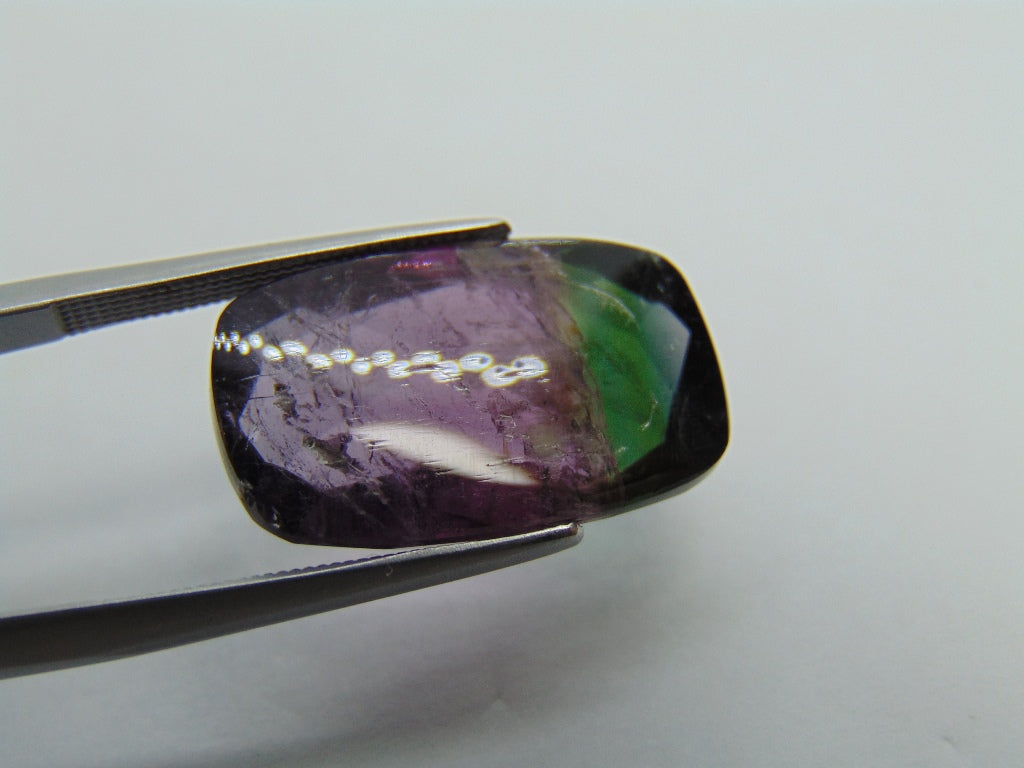 13.80ct Tourmaline Bicolor 20x12mm