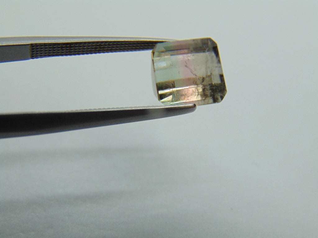 3.70cts Tourmaline (Bicolor)