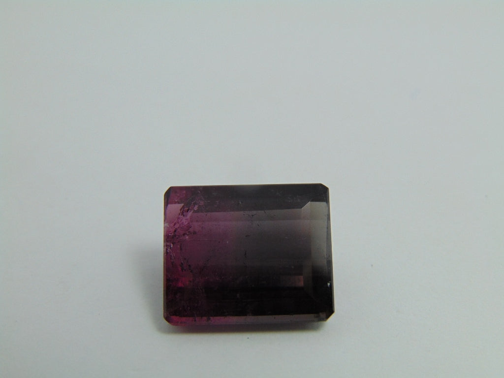 Turmalina Bicolor 17,65 ct 17x14mm