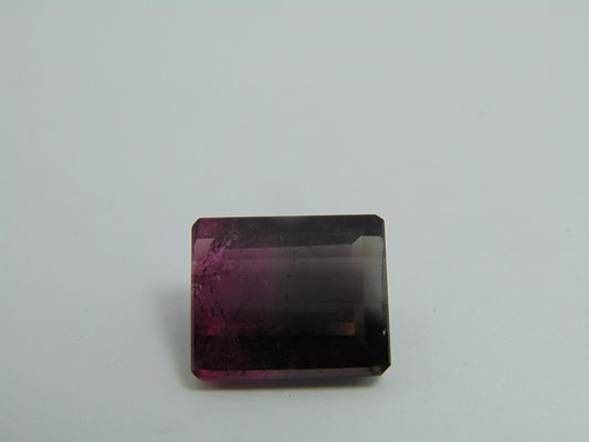 Turmalina Bicolor 17,65 ct 17x14mm