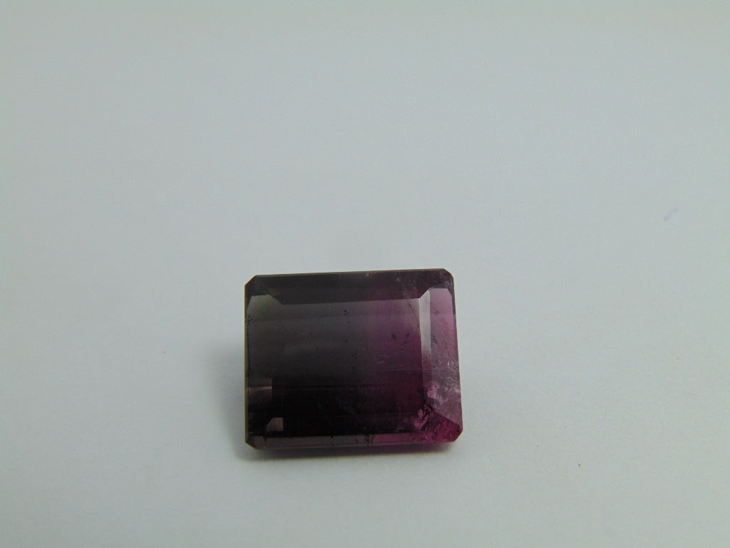 Turmalina Bicolor 17,65 ct 17x14mm