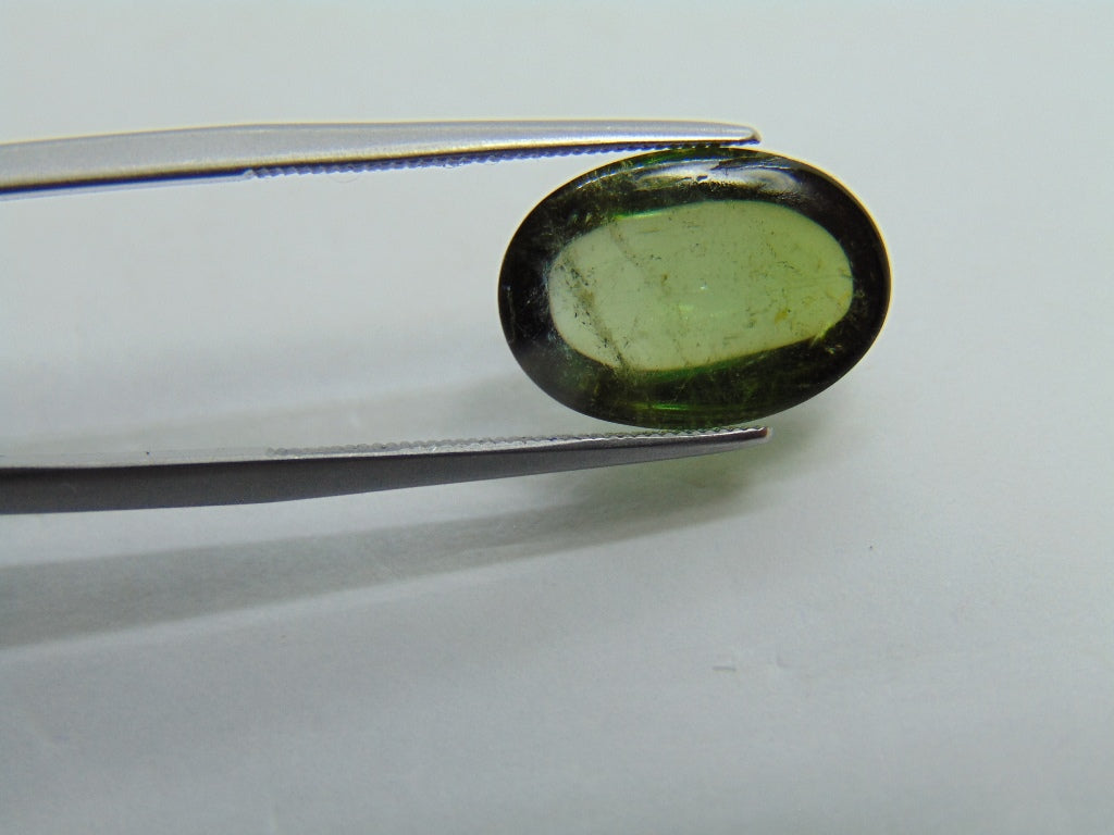 Cabochão Turmalina 7,20ct 14x10mm