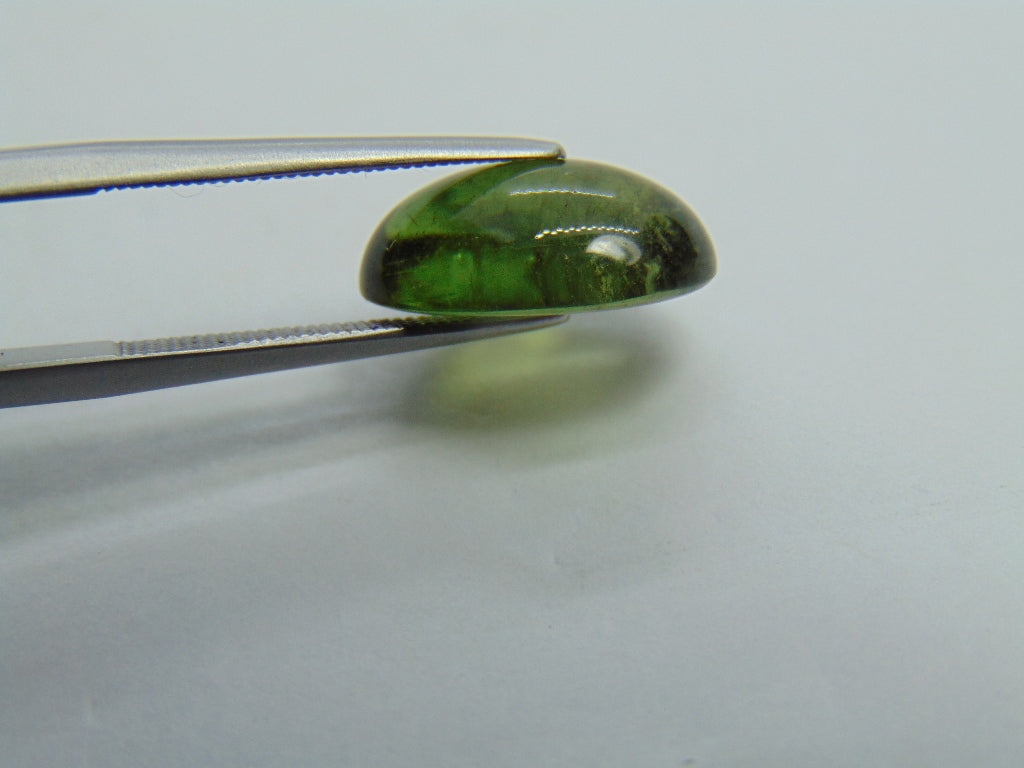 Cabochão Turmalina 7,20ct 14x10mm