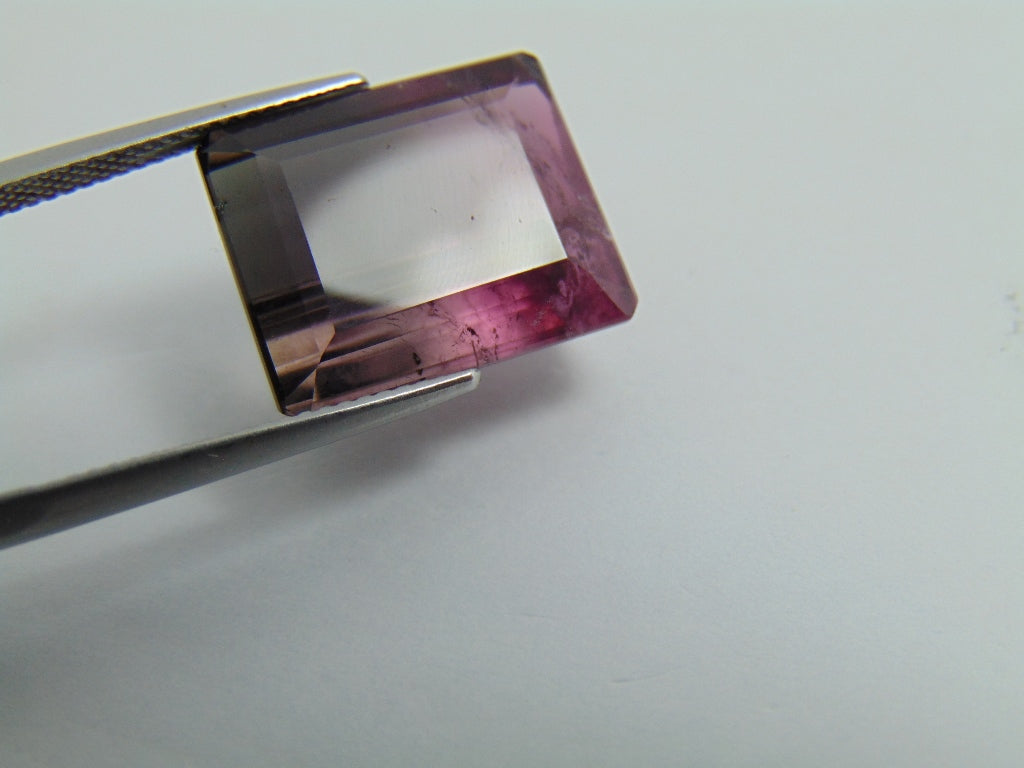 Turmalina Bicolor 17,65 ct 17x14mm