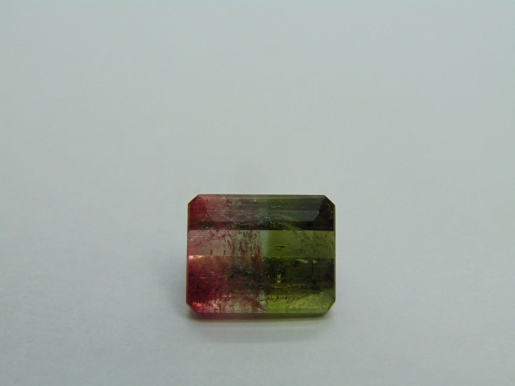 6,90cts Turmalina (Bicolor)