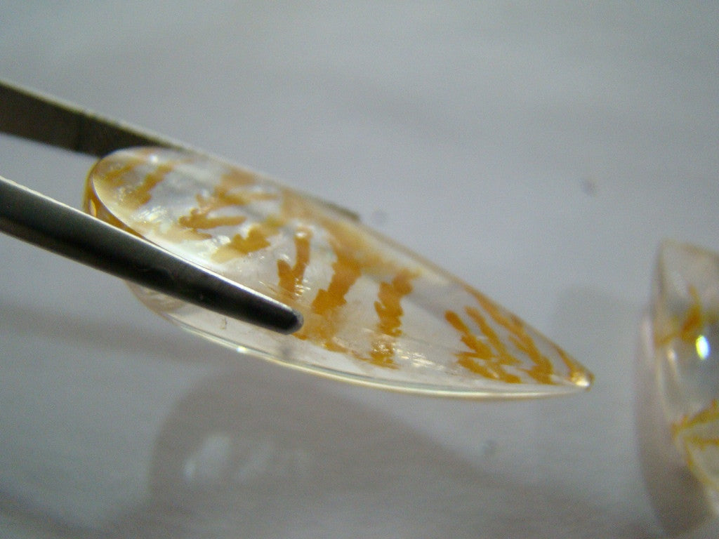 32ct Dendrite Yellow