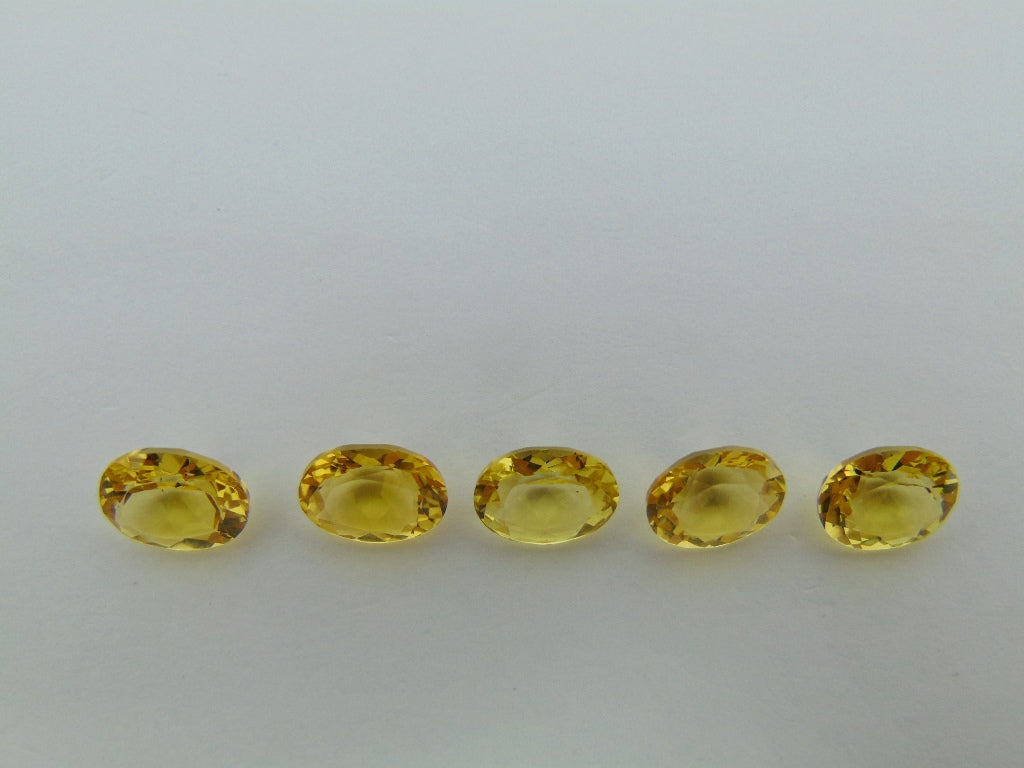 7.50cts Beryl (Calibrated)