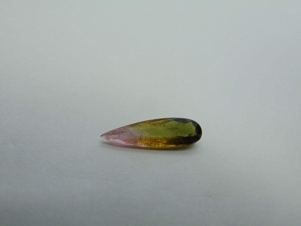 Turmalina Bicolor 2,55ct 19x6mm