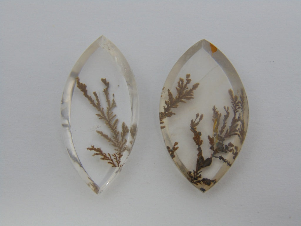 Dendrito 41,20ct