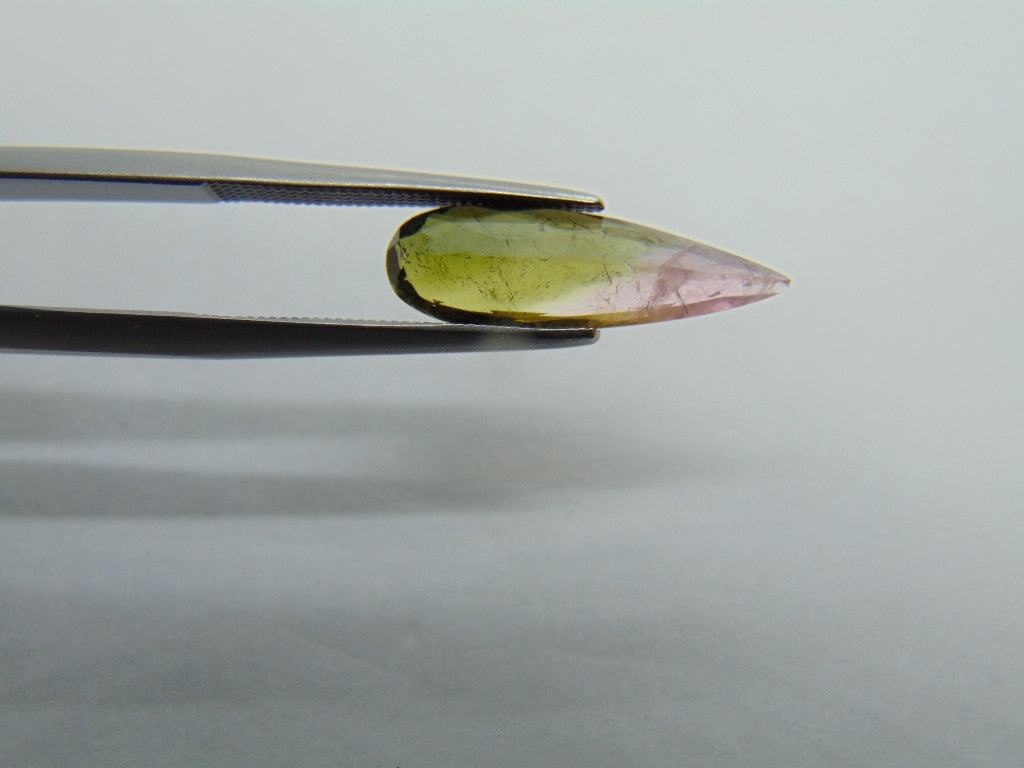 Turmalina Bicolor 2,55ct 19x6mm