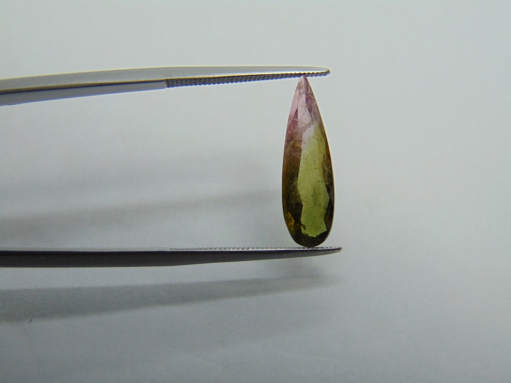 Turmalina Bicolor 2,55ct 19x6mm