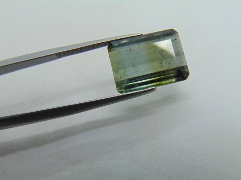 Turmalina Bicolor 10,65ct 15x11mm