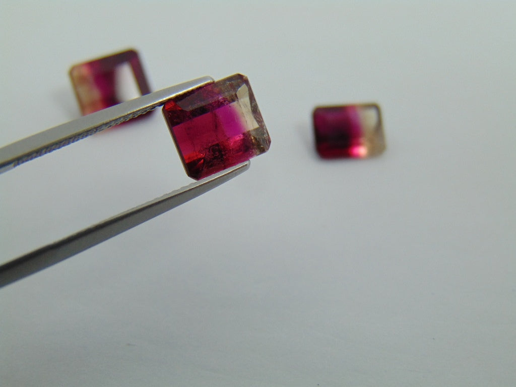 7.50cts Tourmaline (Bicolor)