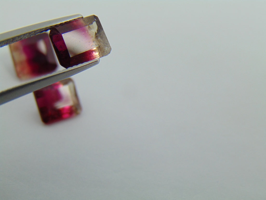 7.50cts Tourmaline (Bicolor)