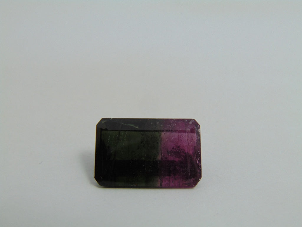 16.70cts Tourmaline (Bicolor)