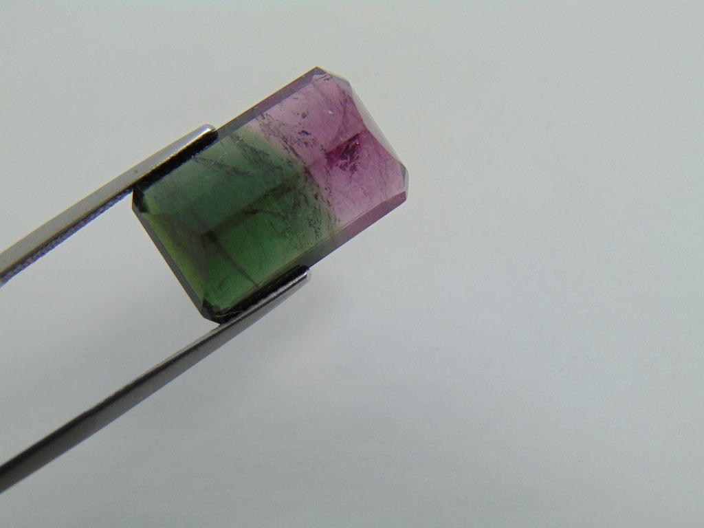 16.70cts Tourmaline (Bicolor)