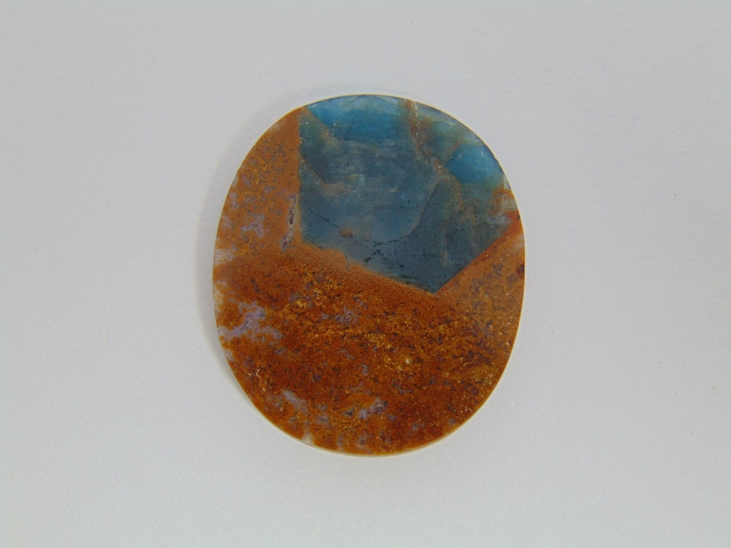 19.80ct Jasper with Apatite 18x14mm