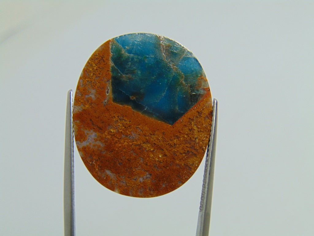 19.80ct Jasper with Apatite 18x14mm