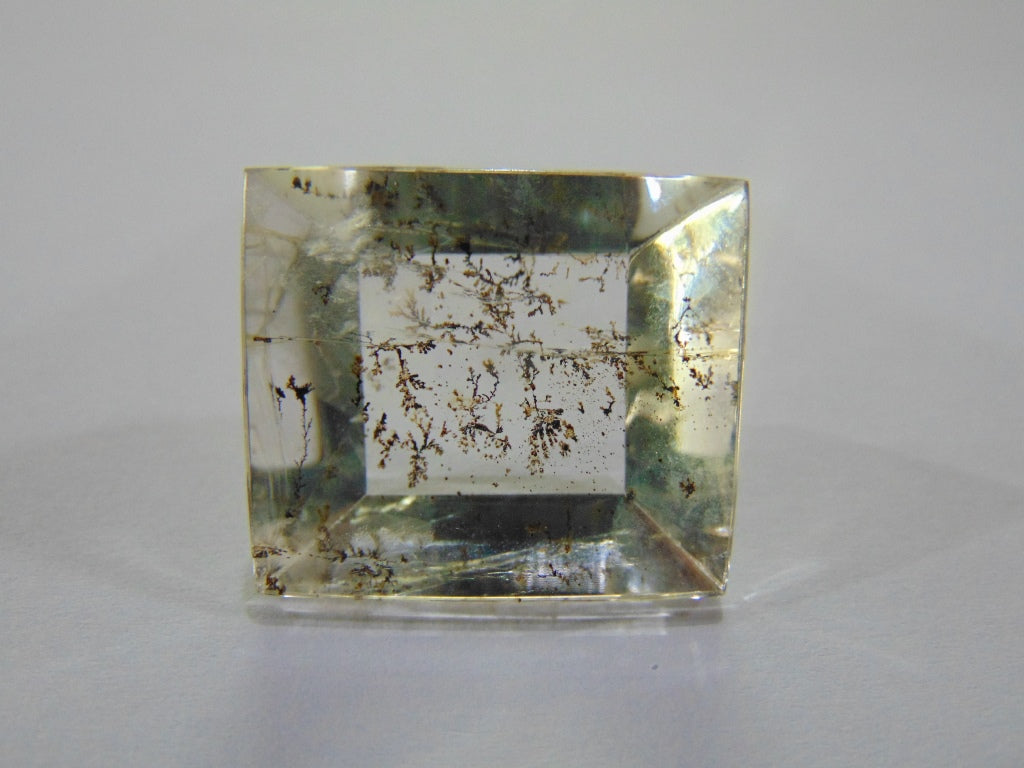 42,70ct Dendrito 24x21mm